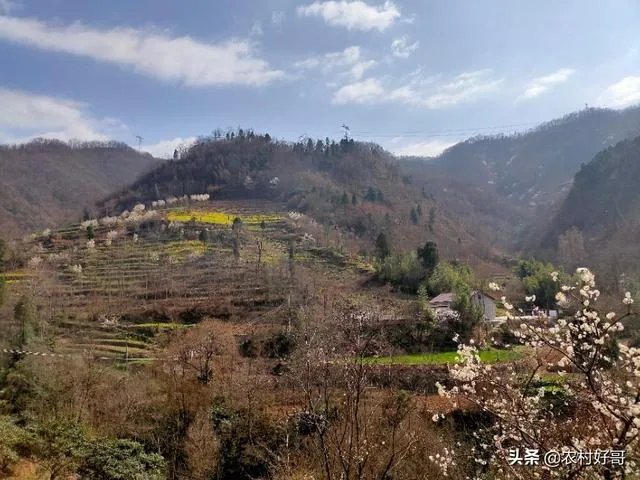 近期可以去老挝旅游吗？老挝疫情怎么样？