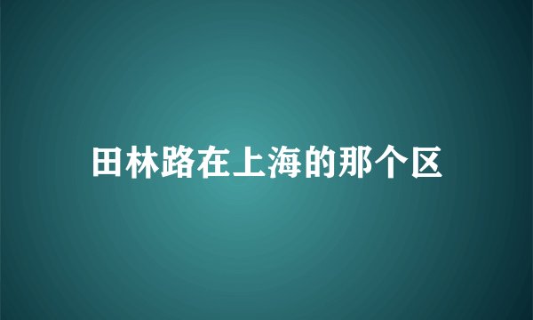 田林路在上海的那个区