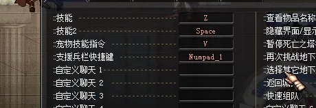 dnf支援兵技能怎么用
