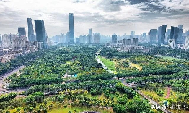 深圳哪些公园比较好玩？有何攻略？