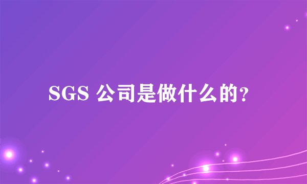 SGS 公司是做什么的？