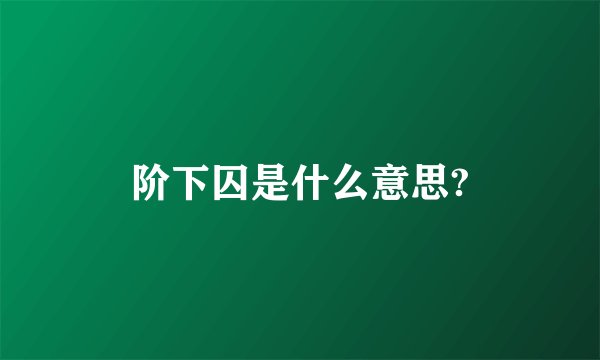 阶下囚是什么意思?