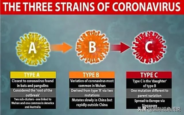 美国政府为什么要下令禁止研究蝙蝠？这是担心阴谋要暴露了吗？