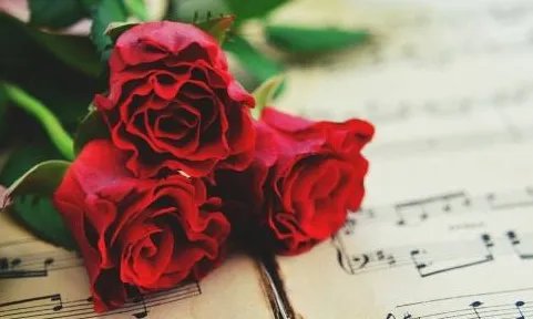 止的组词是什么