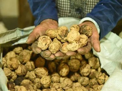 保山美食有哪些？