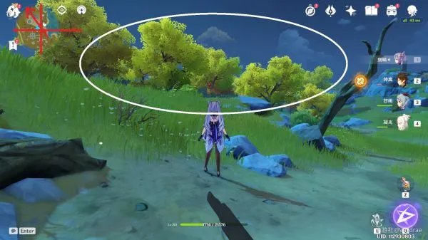 《原神》全木材快速收集攻略