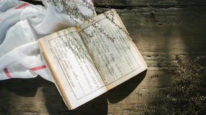 过渡句是什么意思