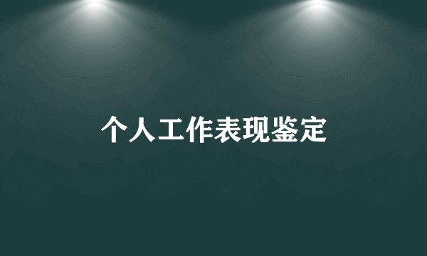 个人工作表现鉴定