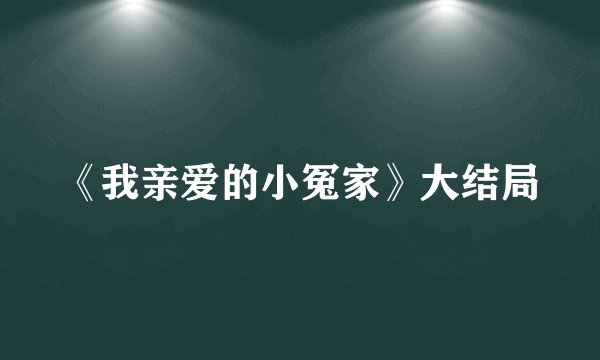 《我亲爱的小冤家》大结局