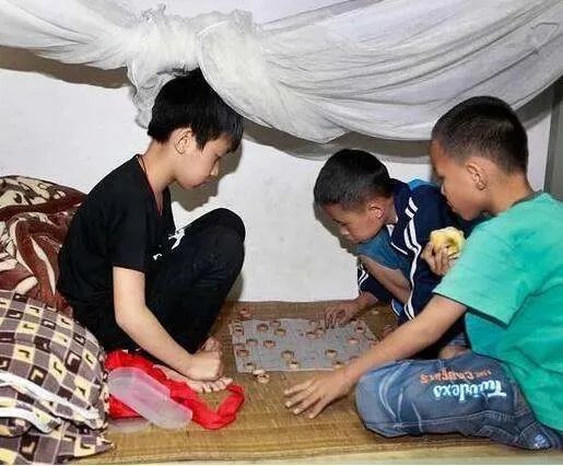 为什么白岩松坚决不让儿子住校？