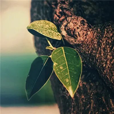 2018最时尚的微信图片