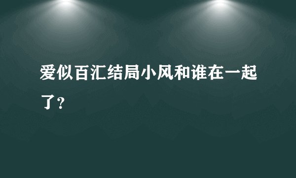 爱似百汇结局小风和谁在一起了？