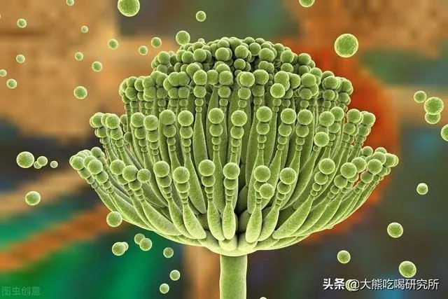 陈皮会产生黄曲霉素吗？如何辨别陈皮是否有黄曲霉素？