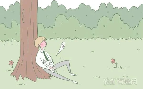 校友会大学排名2022最新排名 前300名都有哪些大学