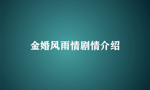 金婚风雨情剧情介绍