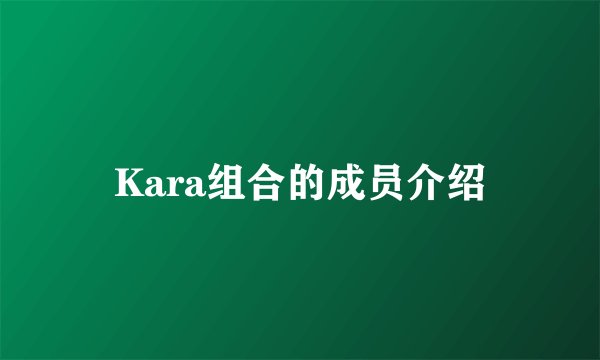 Kara组合的成员介绍