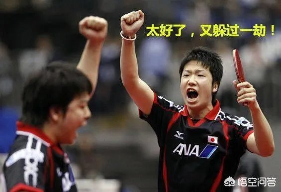 卡塔尔公开赛，水谷隼说中国选手不可怕，扬言要击败樊振东，你怎么看？