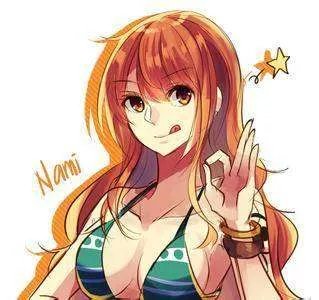 海贼王娜美唯美图片求多给几张，最好是两年后的娜美