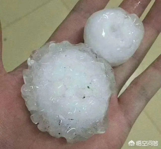 山东，四川等地有冰雹，对农作物损害非常大，你怎么看？