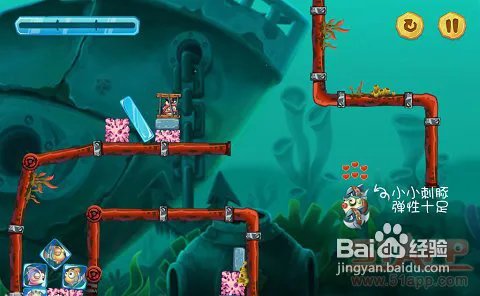 《小鱼大营救》:奇妙的海底世界