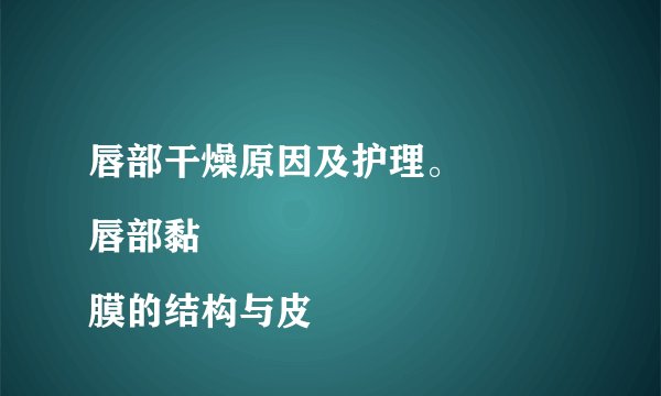 唇部干燥原因及护理。
唇部黏膜的结构与皮