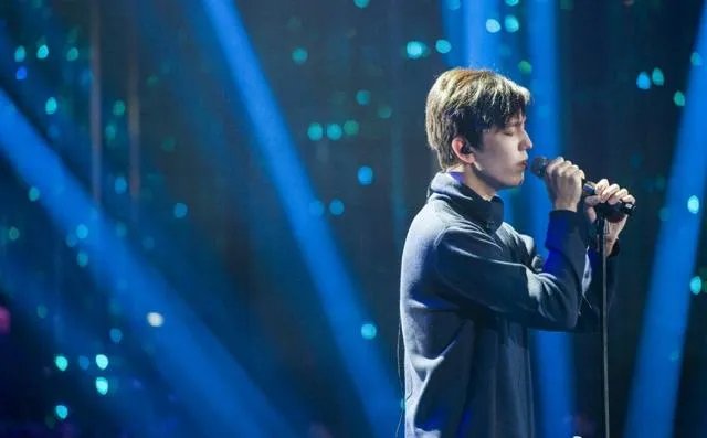 2017《歌手》获得第一的迪玛希是什么来头？