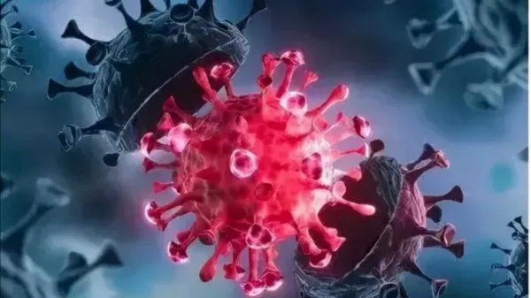 满洲里新增本土34例，他们的调流轨迹是怎样的？