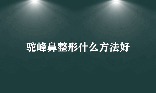 驼峰鼻整形什么方法好