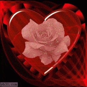 倪冰冰 上海交通大学