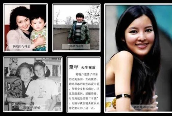 陈晓丹是谁:陈晓丹资料简历及祖母母亲照片