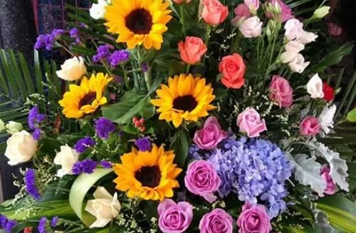 友情送花送什么花 送好朋友花多少朵合适