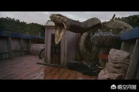 有哪些大蟒蛇类的特效电影值得推荐?