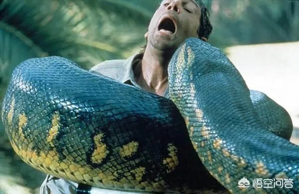 有哪些大蟒蛇类的特效电影值得推荐?