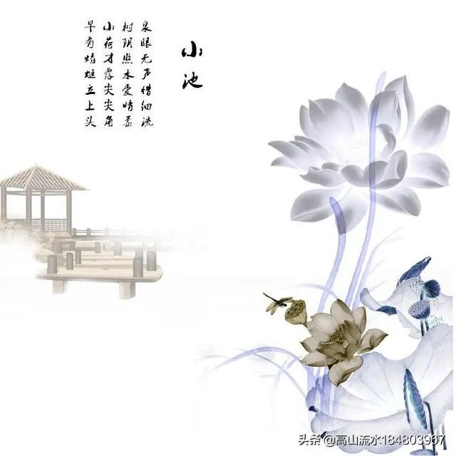 古诗《小池》里晴柔是什么意思?