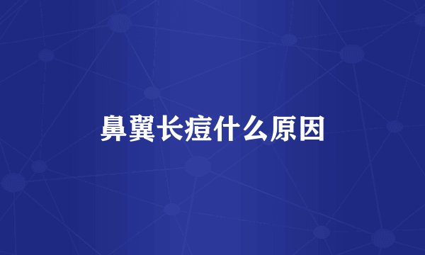 鼻翼长痘什么原因