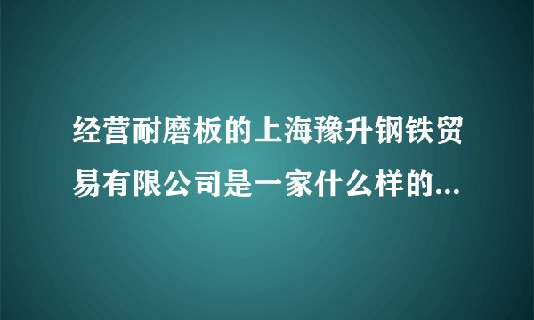 经营耐磨板的上海豫升钢铁贸易有限公司是一家什么样的公司，实力怎么样？