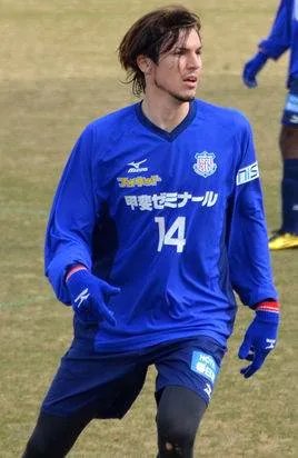 麦克·哈维纳尔的早期经历