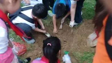 台东一小学现大量蚯蚓,遍布小学操场跑道,这些蚯蚓究竟从何而来?