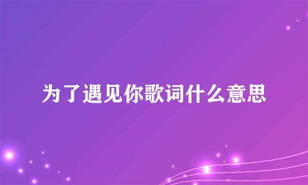 为了遇见你歌词什么意思
