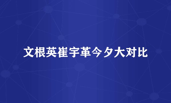 文根英崔宇革今夕大对比