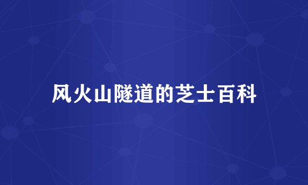 风火山隧道的芝士百科