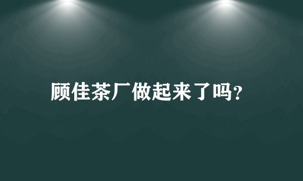 顾佳茶厂做起来了吗？