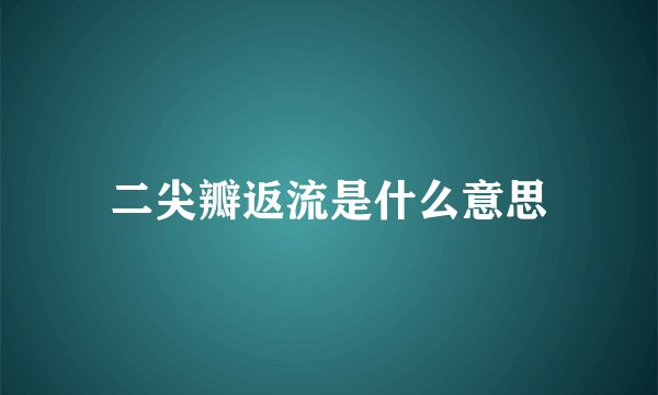 二尖瓣返流是什么意思
