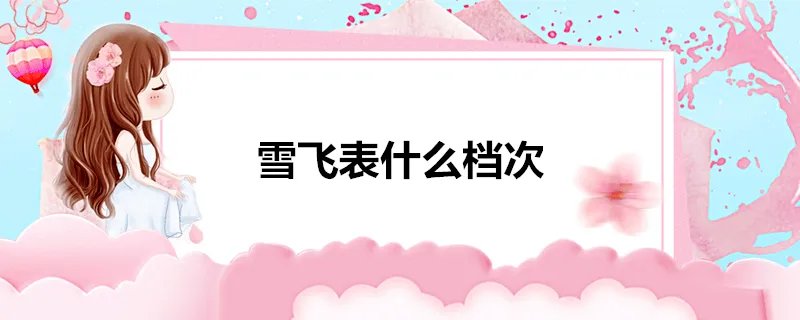 雪飞表什么档次