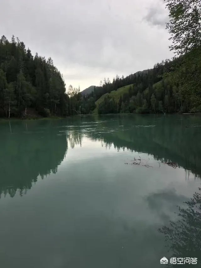 喀纳斯的风景如何?