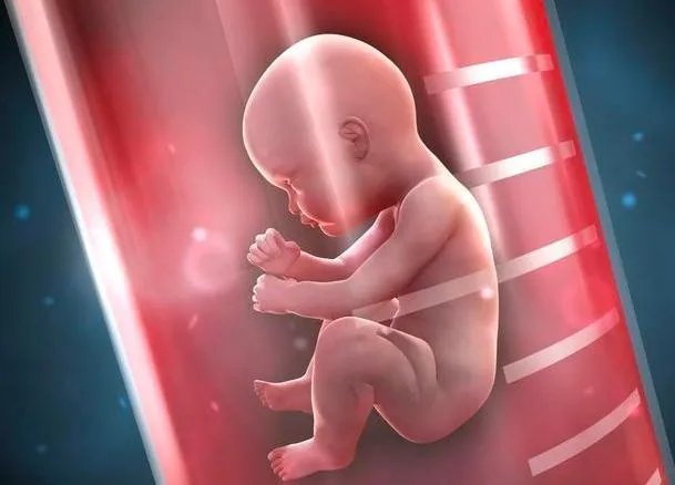 试管婴儿哪家医院做的最好-试管婴儿医院