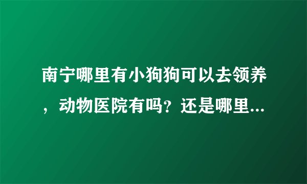 南宁哪里有小狗狗可以去领养，动物医院有吗？还是哪里？不要说那些什么网站，我看了也没什么用，都是卖狗的