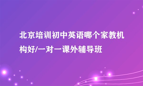 北京培训初中英语哪个家教机构好/一对一课外辅导班