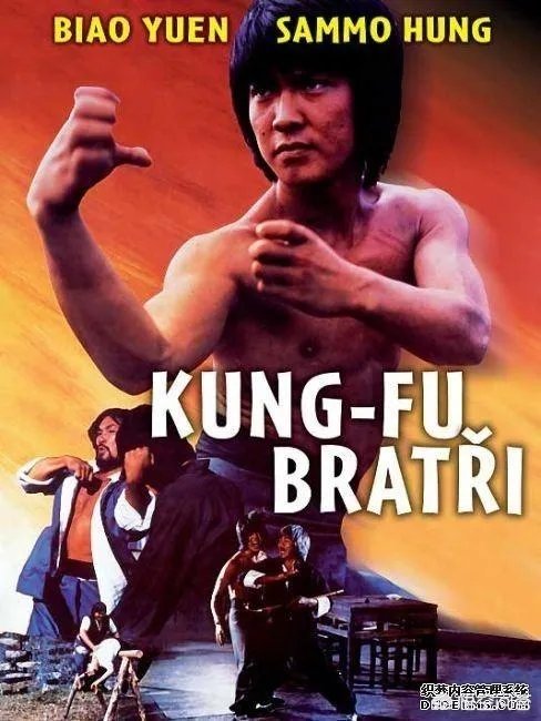 小时候武打古装电影很多，现在却很少，你看过最经典的武打电影有哪些？