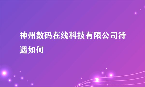 神州数码在线科技有限公司待遇如何